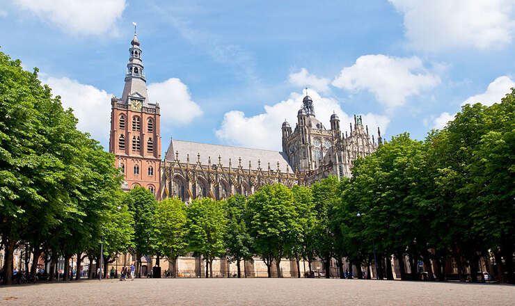 Hulp uit Den Bosch